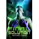 Final Solution - ebook