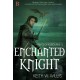 Enchanted Knight